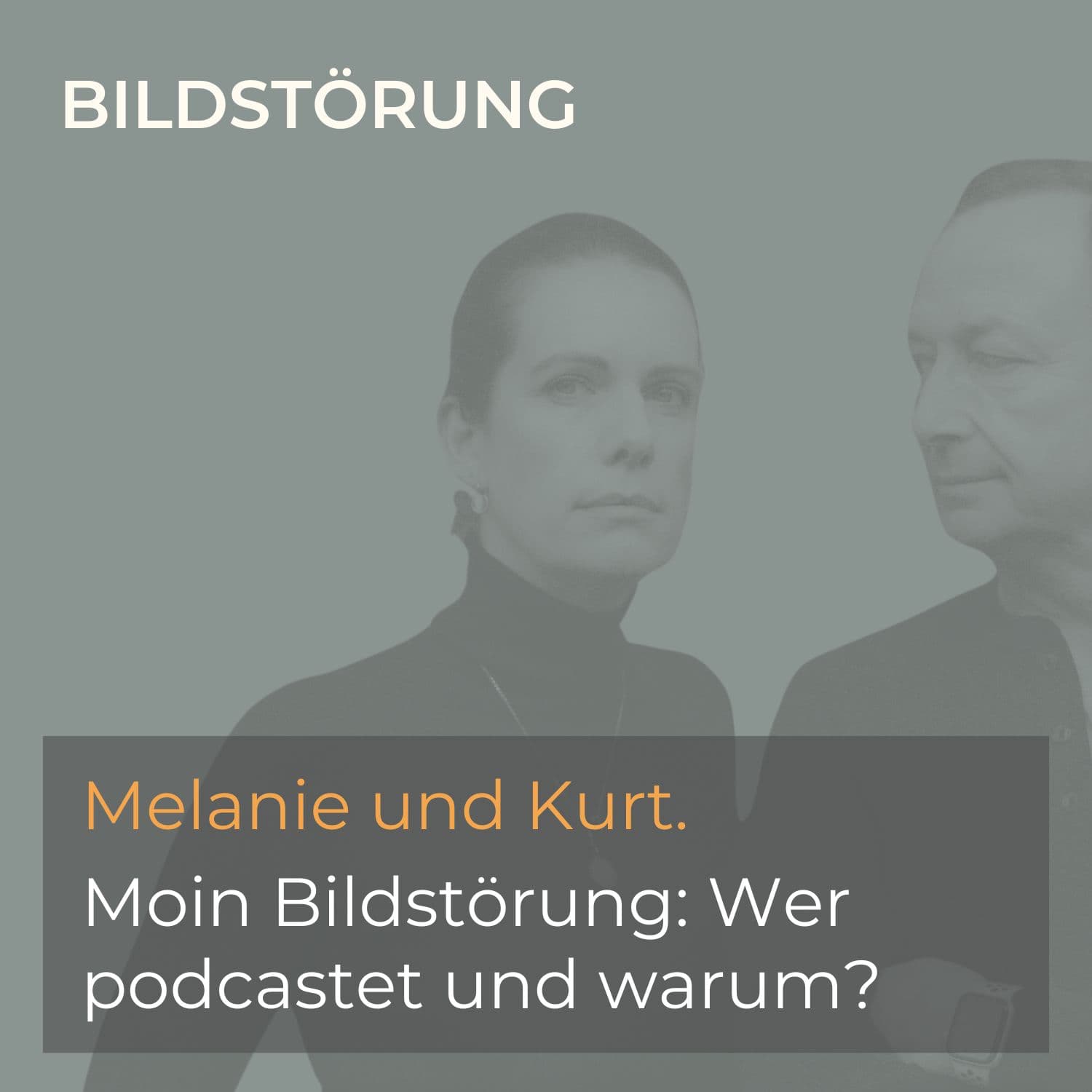 folge 1 moin bildstoerung